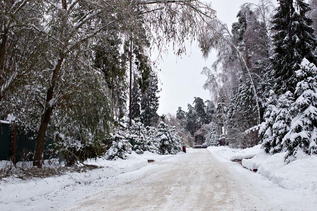 Лесные Дали Фото 25946 Лесные Дали Фото 41618